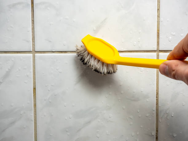 Best Mold Testing  in Leechburg, PA