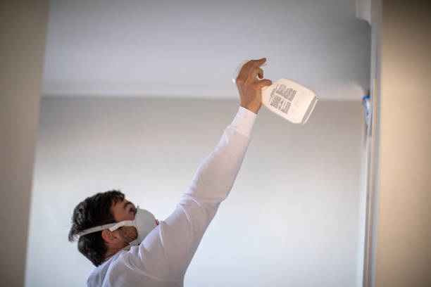 Best Attic Mold Removal  in Leechburg, PA