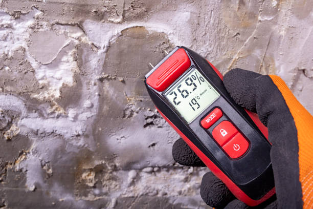 Best Mold Removal Company Near Me  in Leechburg, PA