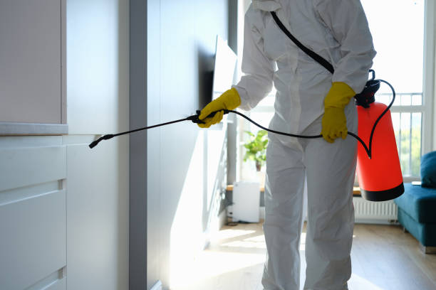 Best Professional Mold Removal  in Leechburg, PA
