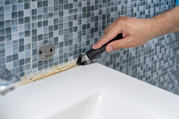 Best Certified Mold Removal  in Leechburg, PA
