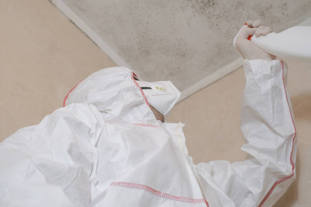 Best Crawl Space Mold Removal  in Leechburg, PA